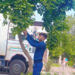 दिल मेरे तो दीवाना है पागल है मैंने माना है